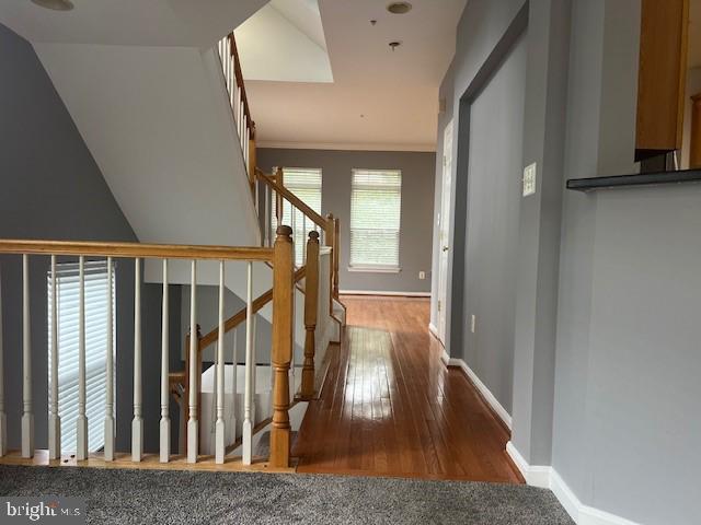 corridor featuring hardwood / wood-style floors