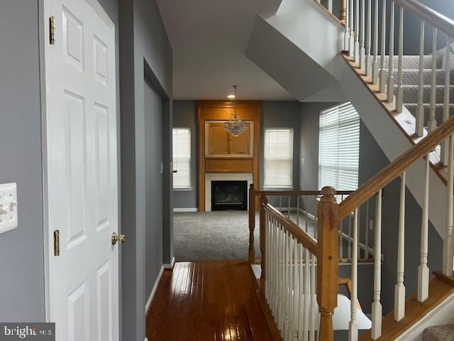 hall featuring hardwood / wood-style floors