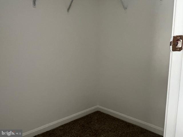 walk in closet featuring carpet flooring