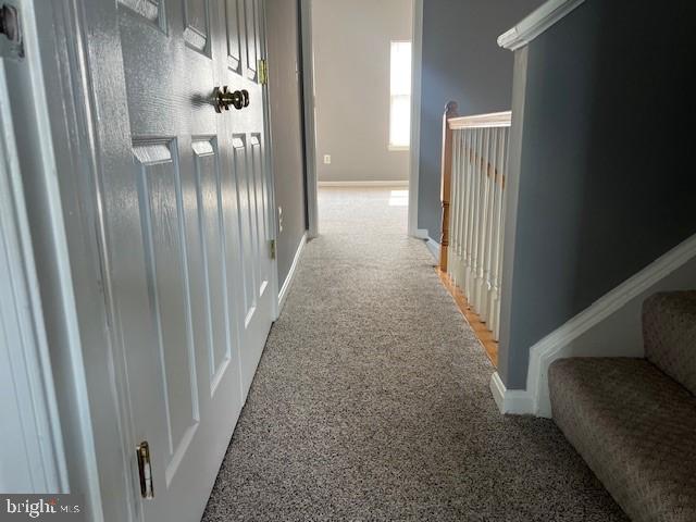 hallway with carpet