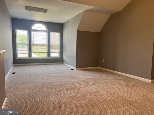 additional living space with lofted ceiling and carpet