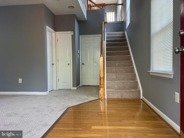 stairway featuring a wealth of natural light and carpet floors