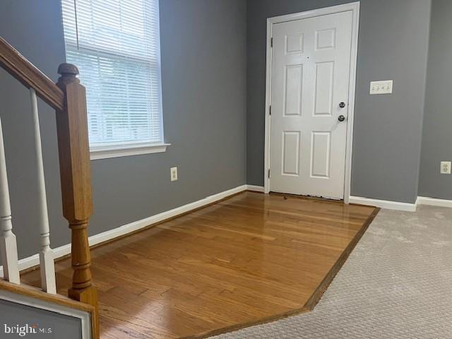 entrance foyer featuring wood-type flooring