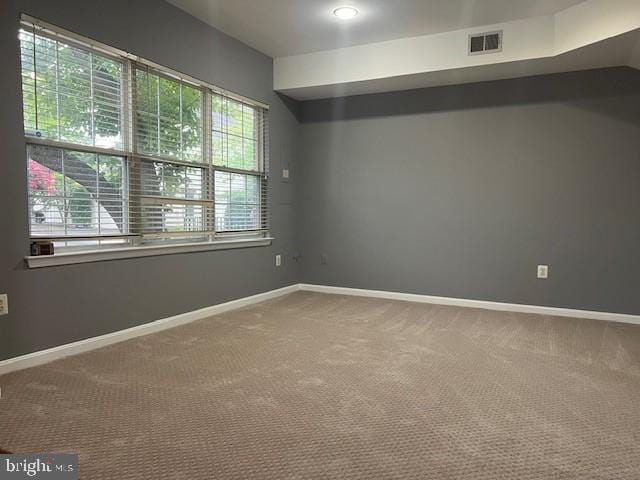 carpeted empty room with plenty of natural light