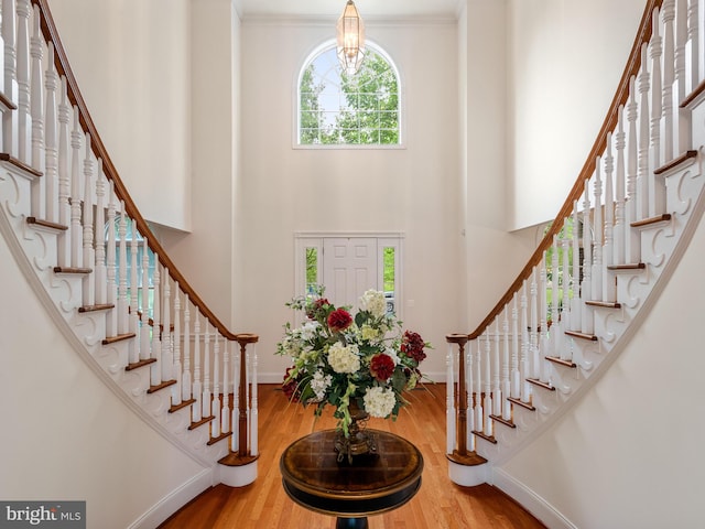 foyer with crown molding, hardwood / wood-style floors, and a high ceiling