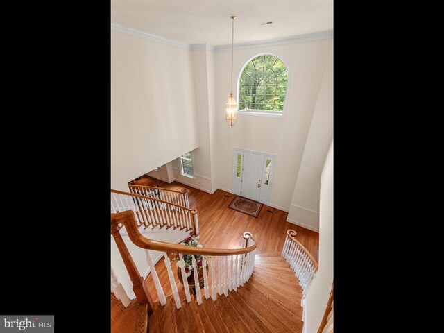 bathroom featuring toilet, sink, and hardwood / wood-style flooring