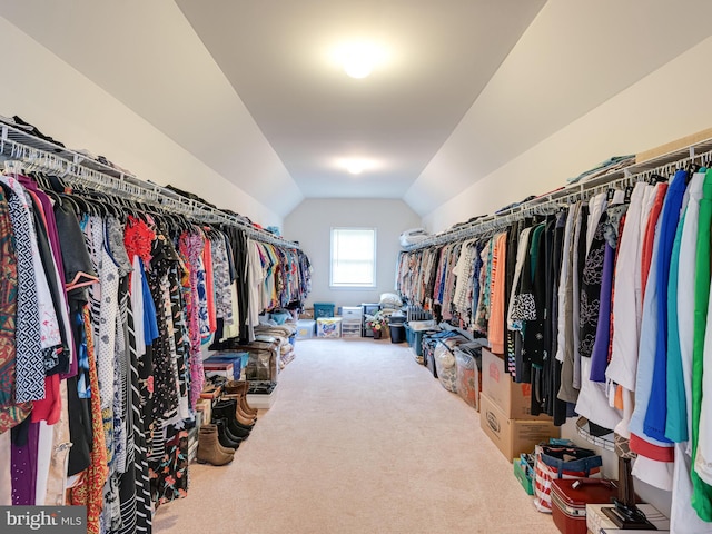 walk in closet with lofted ceiling and carpet floors