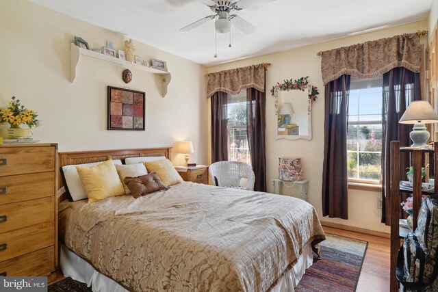 bedroom with multiple windows, hardwood / wood-style flooring, and ceiling fan