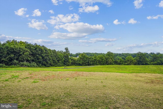 view of yard with a rural view