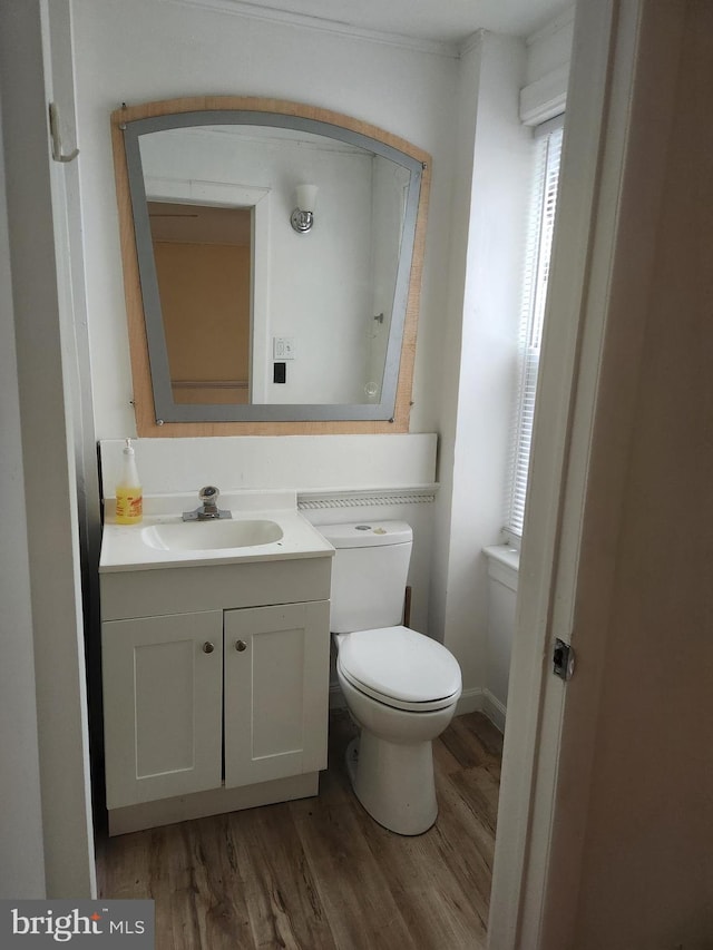 bathroom with hardwood / wood-style floors, vanity, and toilet