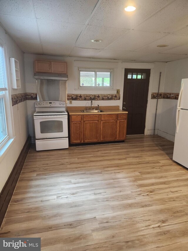 kitchen featuring sink, light wood-type flooring, white appliances, and a drop ceiling