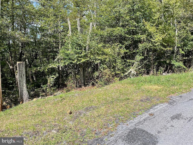 LOT111 Cub Trl, Winchester VA, 22602 land for sale