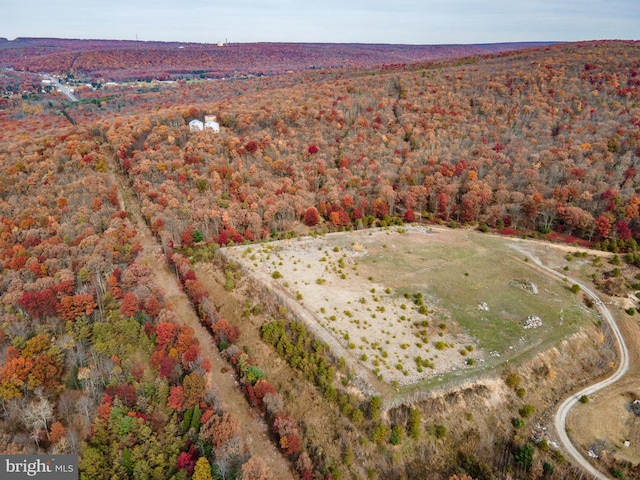 Claremont Ave, Tamaqua PA, 18252 land for sale