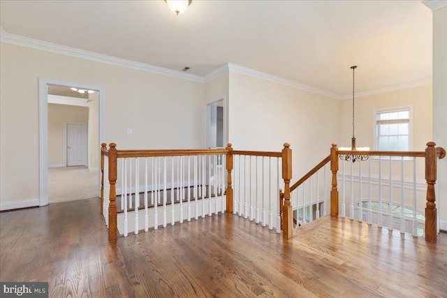 hallway featuring ornamental molding and hardwood / wood-style floors