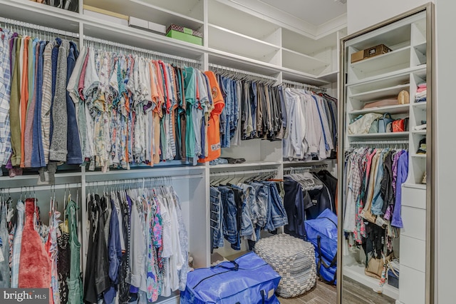 spacious closet with wood-type flooring