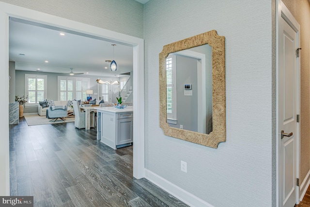 corridor with dark hardwood / wood-style flooring