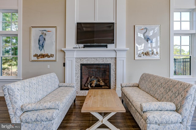 living room with dark hardwood / wood-style flooring