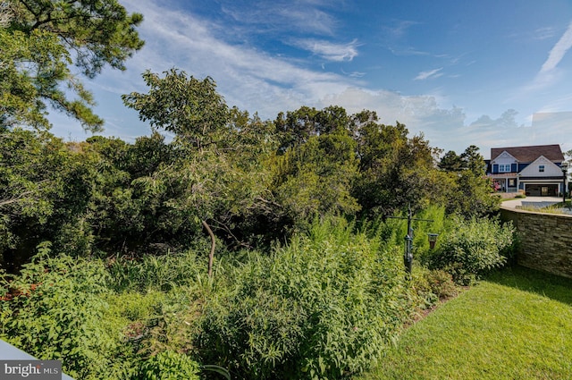 view of landscape