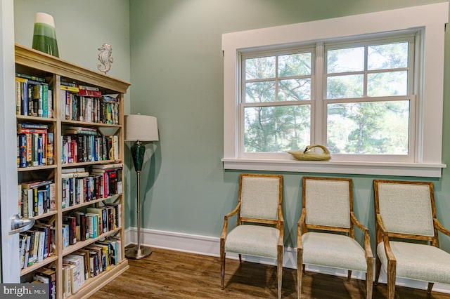 sitting room with wood-type flooring