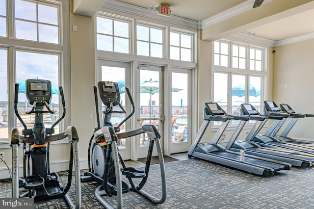 exercise room featuring crown molding, a high ceiling, and carpet floors