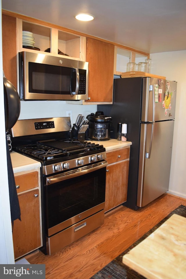 kitchen with light wood-type flooring and stainless steel appliances