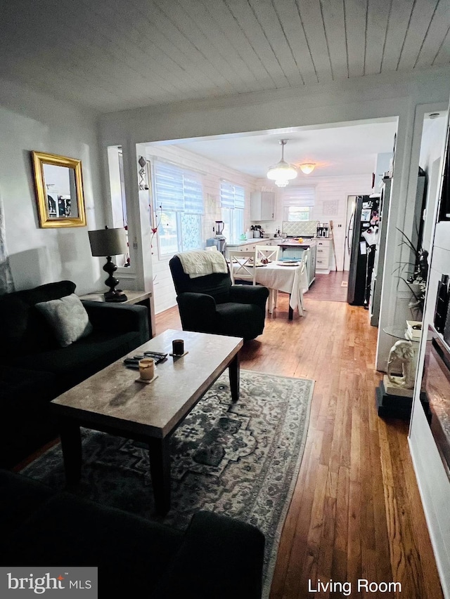 living room featuring light hardwood / wood-style flooring