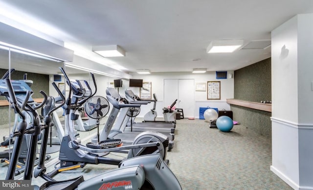 workout area featuring carpet flooring