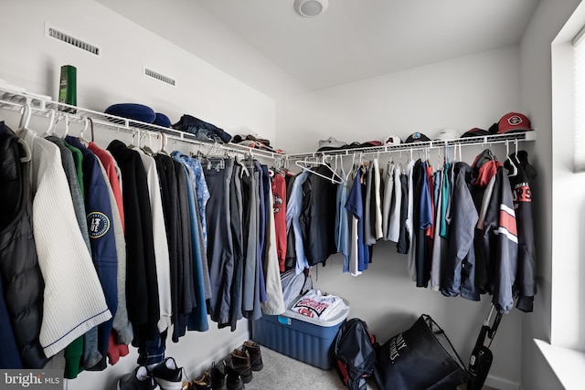 walk in closet featuring carpet floors