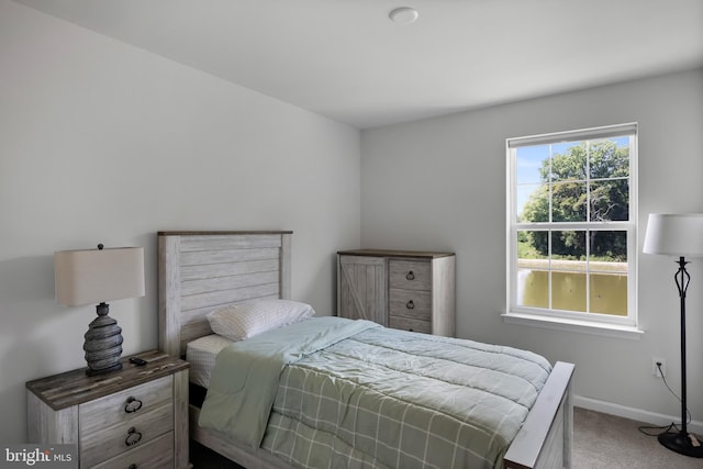 bedroom with carpet