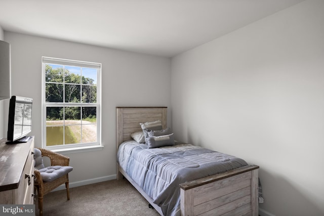 bedroom featuring multiple windows and carpet floors