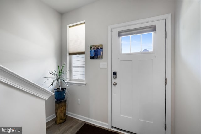 foyer entrance with hardwood / wood-style floors and a healthy amount of sunlight