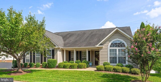 view of front facade featuring a front yard