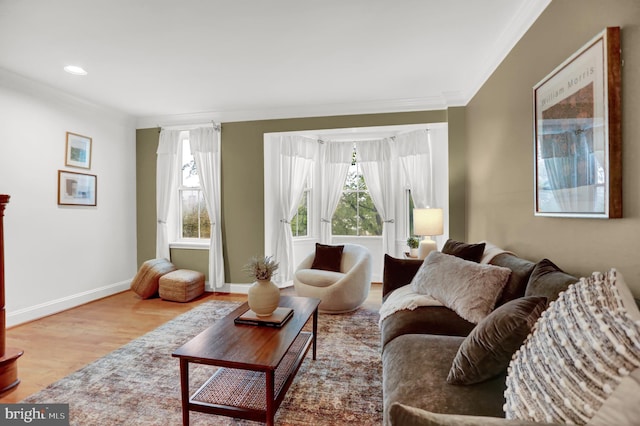 living room with hardwood / wood-style flooring, crown molding, and plenty of natural light