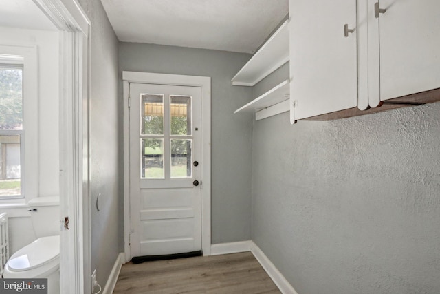 doorway to outside featuring light wood-type flooring