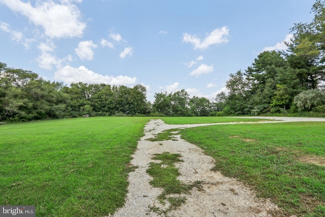 view of community featuring a lawn