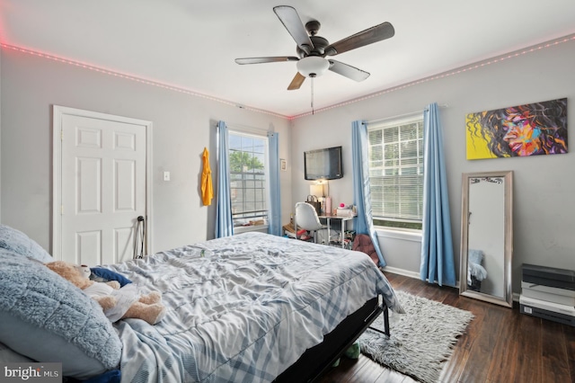 bedroom with dark hardwood / wood-style floors and ceiling fan