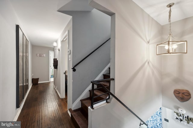 staircase with hardwood / wood-style floors