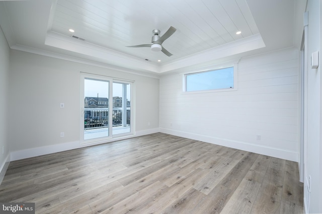 spare room featuring plenty of natural light and a tray ceiling