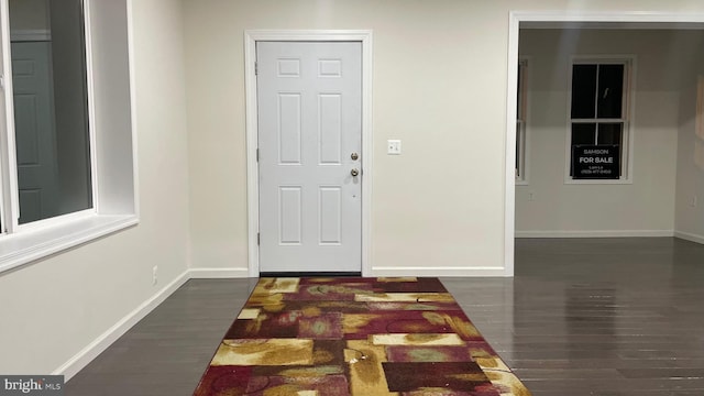 entrance foyer with dark wood-type flooring