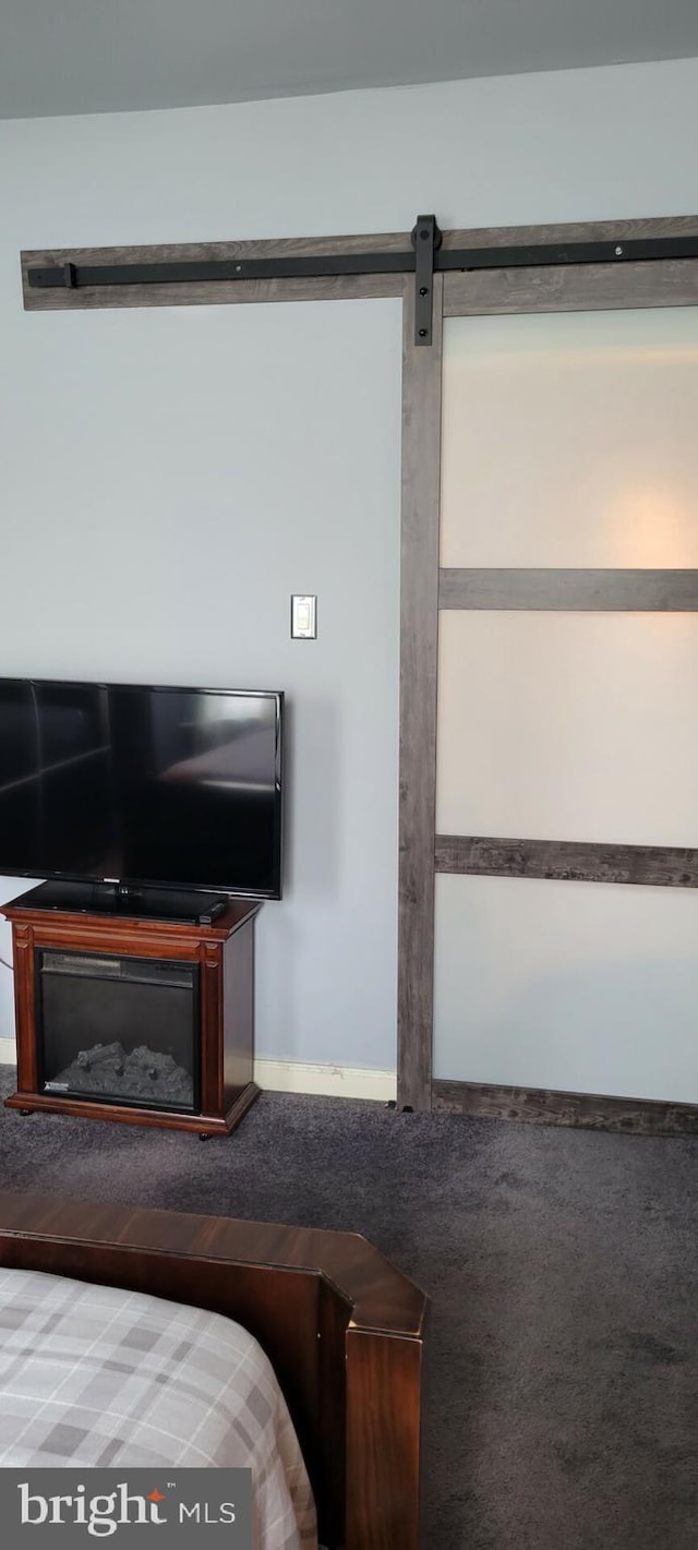 interior space featuring a fireplace and a barn door