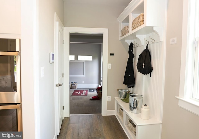 mudroom featuring dark wood-type flooring