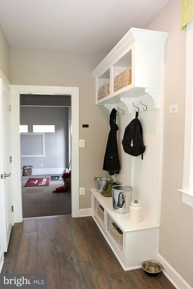 mudroom featuring dark wood-type flooring