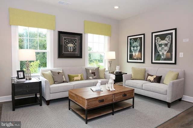 living room featuring hardwood / wood-style floors