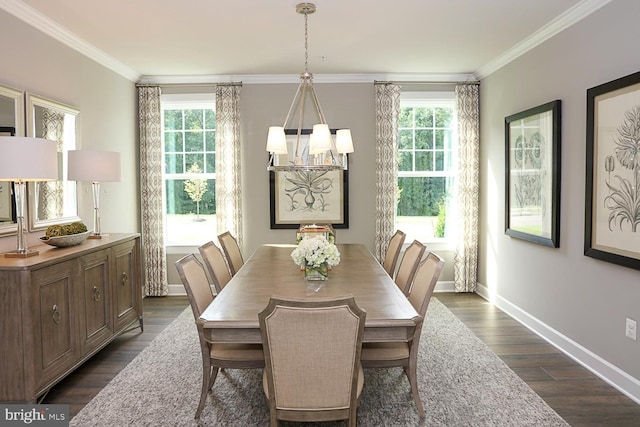 dining space with crown molding, dark wood-type flooring, and a healthy amount of sunlight