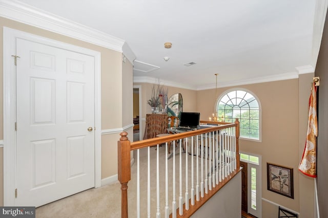 hall featuring ornamental molding and light carpet