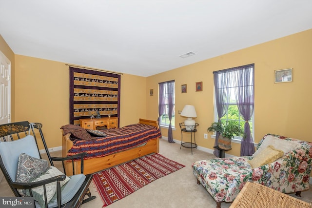 interior space with light colored carpet