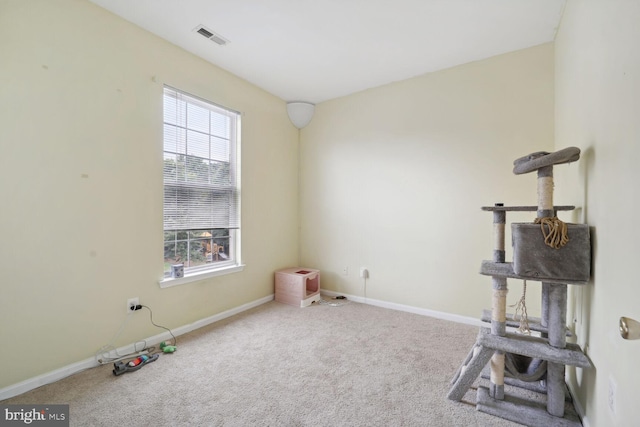 workout room with carpet