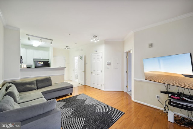 living room featuring light wood-type flooring, ornamental molding, and track lighting