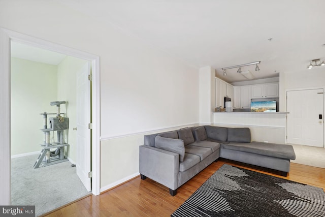 living room featuring light hardwood / wood-style floors and rail lighting