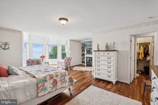 bedroom featuring a walk in closet, a closet, and dark wood-type flooring